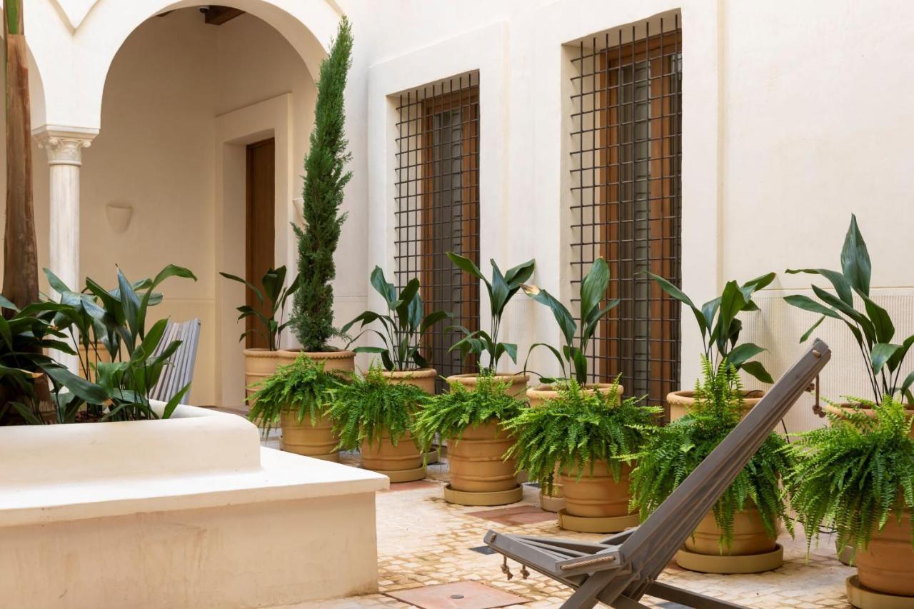 Casa Del Rey Sabio Sewilla